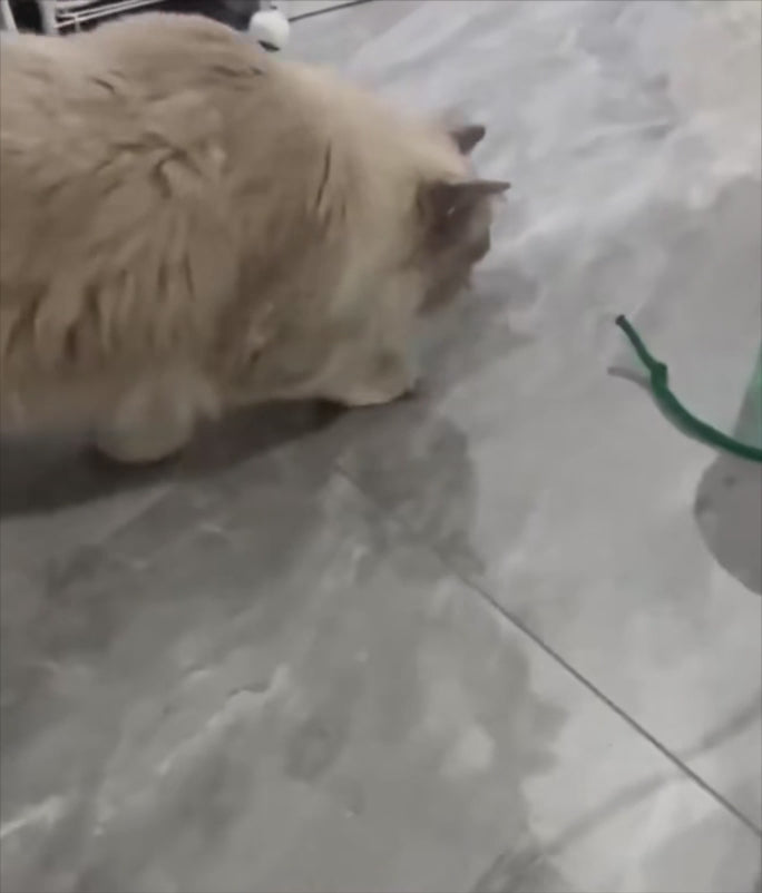 Smart-Ball Pro: Intelligentes Katzenspielzeug mit 3 Geschwindigkeitsstufen & automatischer Standby-Funktion